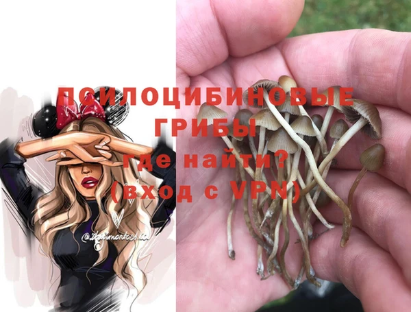 2c-b Армянск