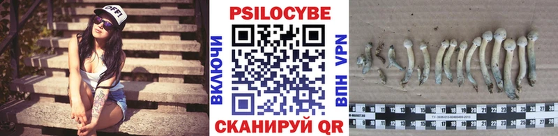 Галлюциногенные грибы Psilocybe  Купить  Нижний Ломов 